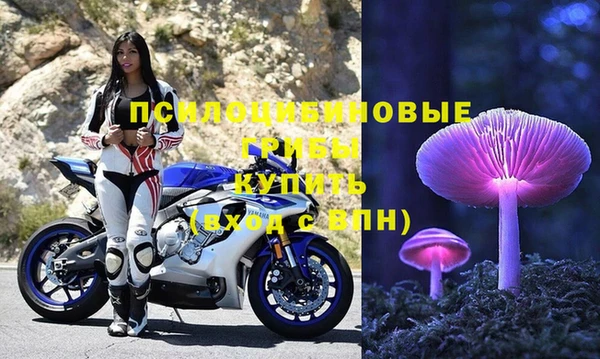 СК Алексеевка