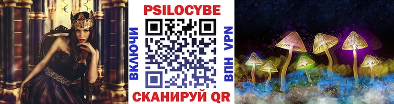 Галлюциногенные грибы MAGIC MUSHROOMS  блэк спрут   Болохово  закладка 